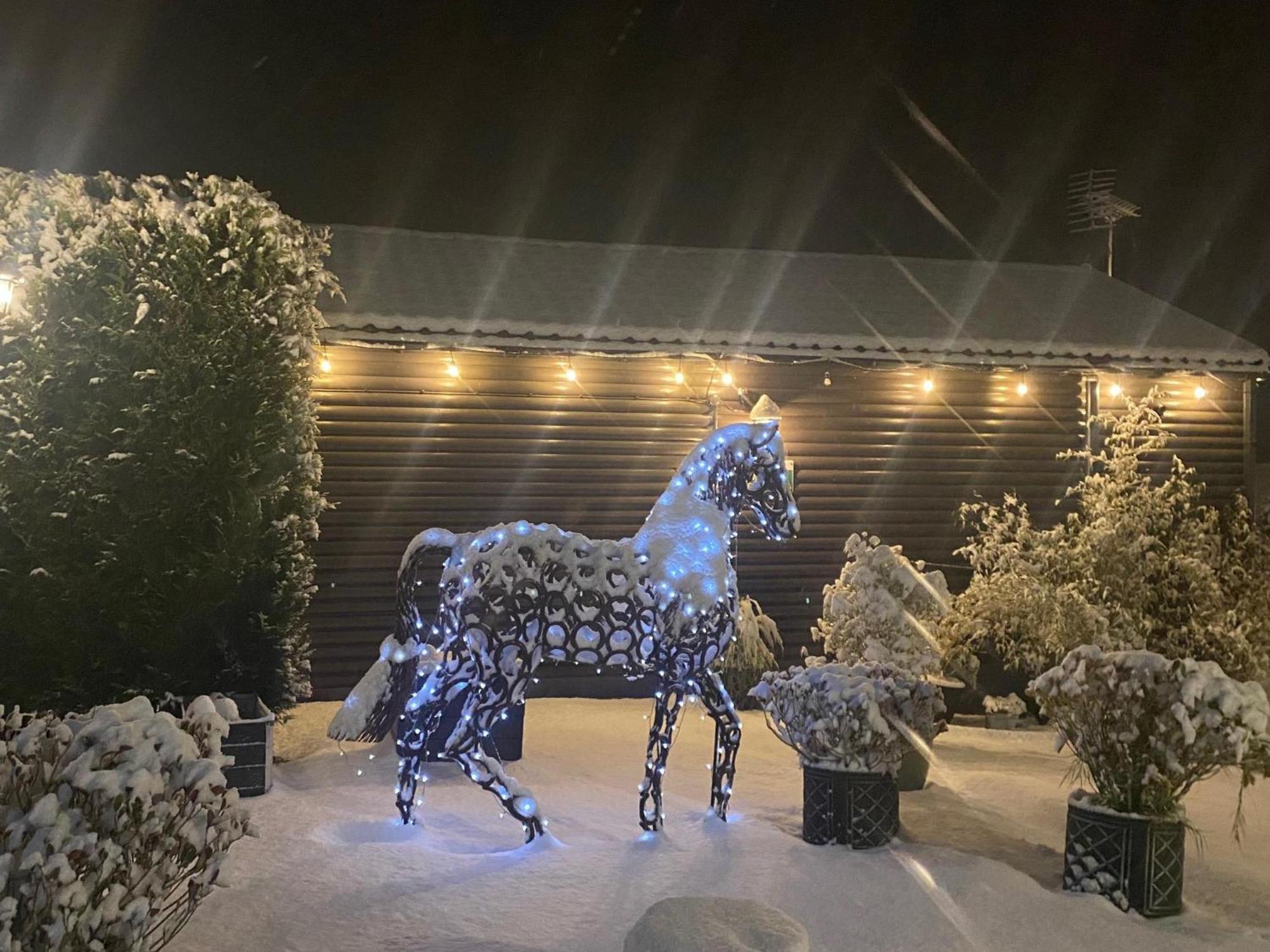 Fairview Farm Holiday Accommodation 14 Luxury Lodges, Cabins, Dog Friendly, Suitable For Couples, Families And Groups, Wedding Guests , Corporate Events, Sleeps 2-65 Guests In Ravenshead, Nottingham Near Sherwood Forest, Set In 88 Acres Exterior foto