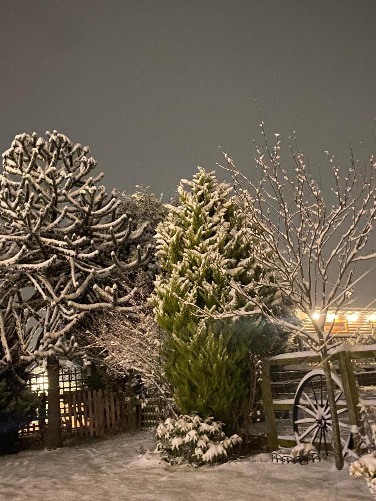 Fairview Farm Holiday Accommodation 14 Luxury Lodges, Cabins, Dog Friendly, Suitable For Couples, Families And Groups, Wedding Guests , Corporate Events, Sleeps 2-65 Guests In Ravenshead, Nottingham Near Sherwood Forest, Set In 88 Acres Exterior foto